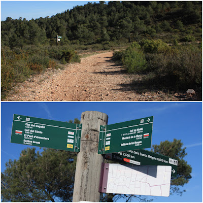 CABRA DEL CAMP-COLL DE SÀRRIA-ROC DEL COGULLÓ-EL COGULLÓ-PUIG DE COMAVERD-COLL DE VALLS, camí en direcció al Coll de Maldà