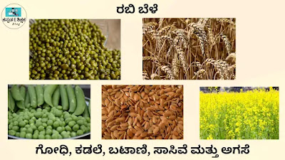 Class 8 Science Chapter 1 Question Answer Crop Production and Management in Kannada Medium