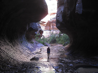 The Subway in Zion National Park