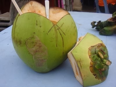 Buah Kelapa