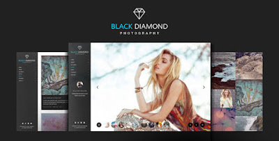 Download Creative DIAMOND v1.7 Photography WP Theme