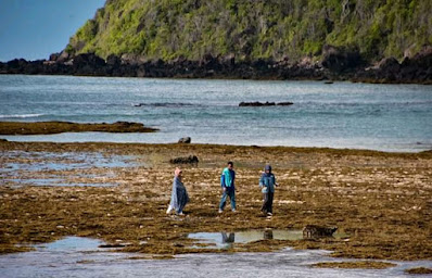 Pantai Rontu Tempat Wisata Bahari di Nusa Tenggara Barat