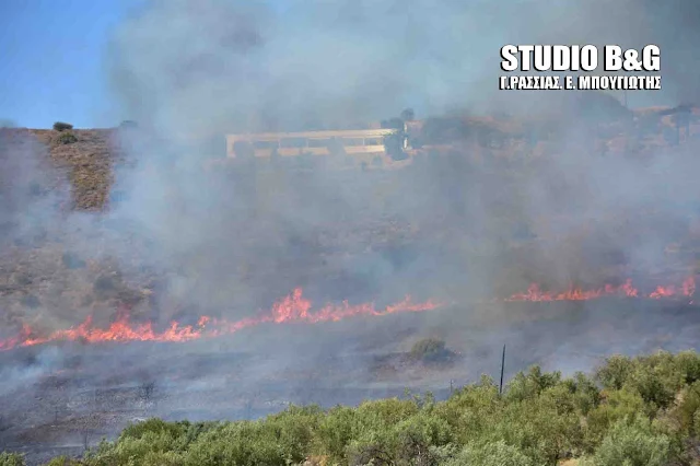 Αργολίδα: Μεγάλη πυρκαγιά στα Λευκάκια Ναυπλίου (βίντεο)