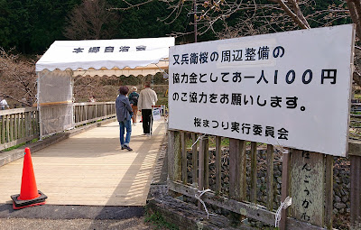 又兵衛桜(宇陀市)