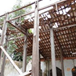 View album