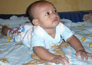 anakku, jagoan kecilku, my son, my boy. sinichi, shinichi, luqman, lukman, foto anak, anak laki-laki, sinichinet