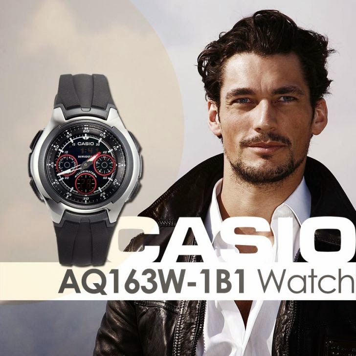 Casio AQ163W-1B1 Watch
