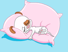 puppy4