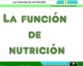 http://www.ceiploreto.es/sugerencias/cplosangeles.juntaextremadura.net/web/curso_4/naturales_4/funcion_nutricion_4/funcion_nutricion_4.html