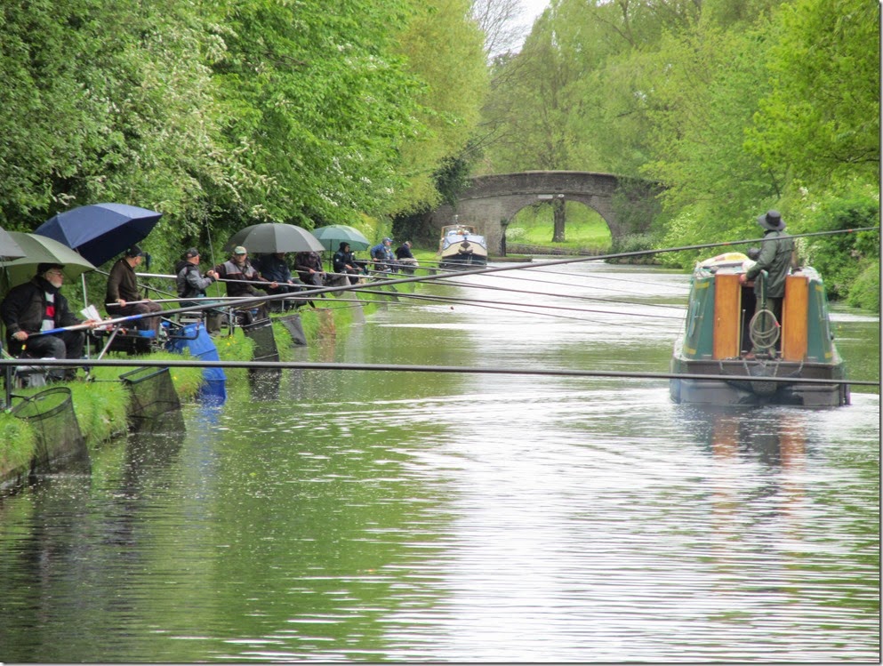 shroppie 083
