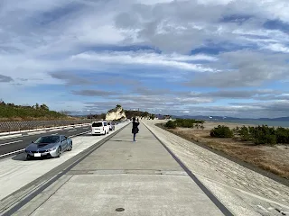 野蒜海岸防潮堤