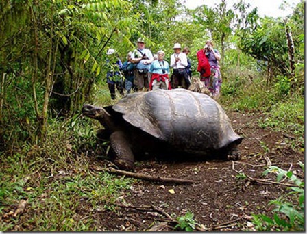 isla-galapagos