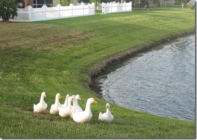 along bank
