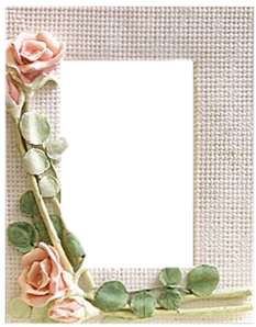 roses06