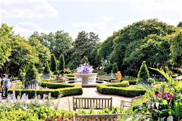 georgia