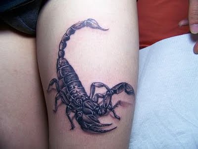 Scorpion Tatto on Sexy Girl Scorpion Tattoo Designs At The Feet Top Women