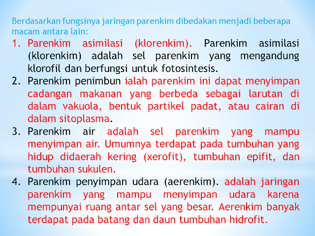 Berdasarkan fungsinya jaringan parenkim dibedakan menjadi beberapa macam