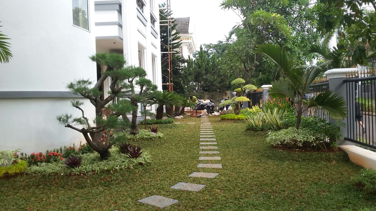 Contoh Desain Taman Minimalis Depan Rumah Terlaris Tukang Taman