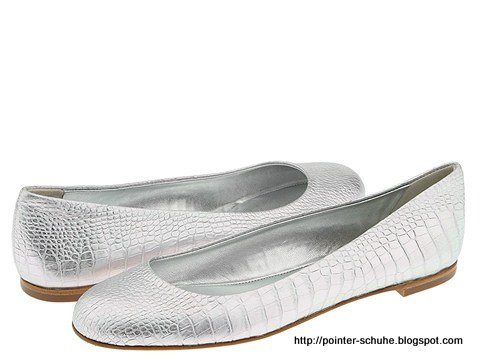 Pointer schuhe:schuhe-292049