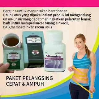 Paket Pelangsing Cepat Dan Ampuh