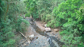 drone photo of a river flowing through green dry forest in Puriscal, Costa Rica