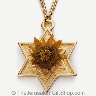 The Rose of Bethlehem Pendant