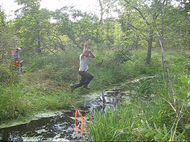 River Pole Vault swamp