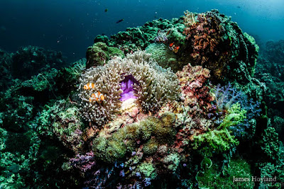 Koh-Haa-Koh-Lanta-Thailande-diving