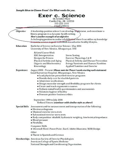 examples of great resume brilliant ideas of example of great resume summary cool great resume summary ideas for examples of resumes 2017 for high school students.