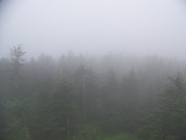 Clingmans Dome (18)