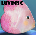 [luvdisc.png]