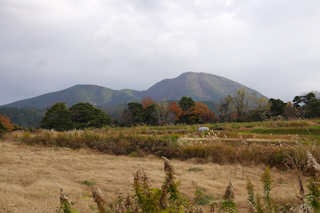 鳥取県西伯郡大山町赤松 一の谷集落付近の眺望