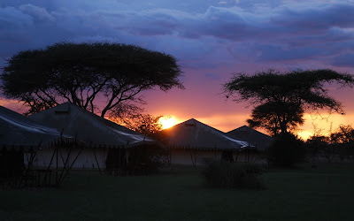 Tanzania safari camp