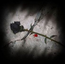 Black Roses line the dying