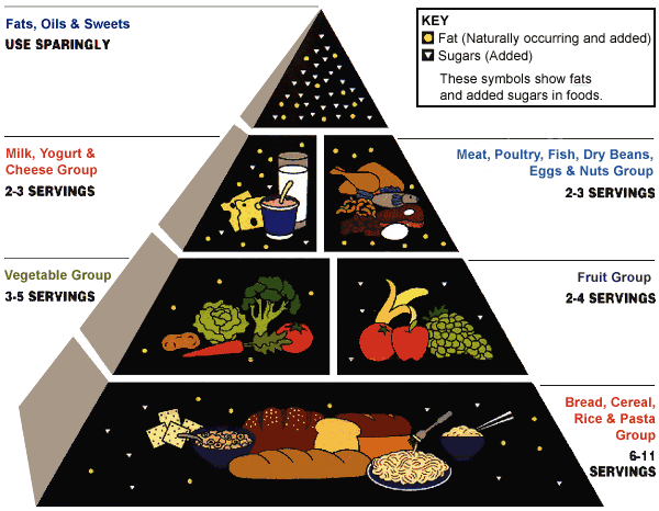 The Teenager Times: Teenage Junk Food Diet Leading to Health Problems ...