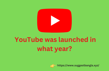 YouTube was launched in what year?