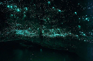 Waitomo Glowworm, Gua Ajaib Dipenuhi Bintang