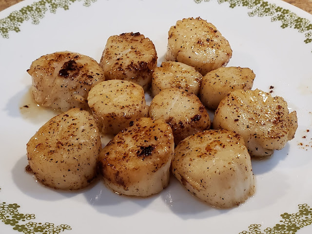 Scallops and creamy shell pasta