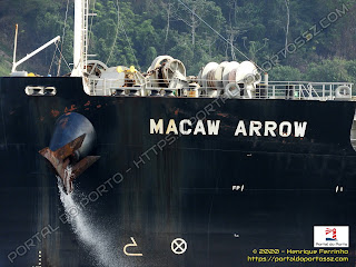 Macaw Arrow