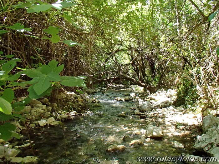 Garganta Verde completa