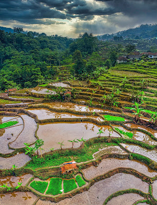 Aerial view of landscape