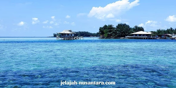 penangkaran hiu pulau pramuka