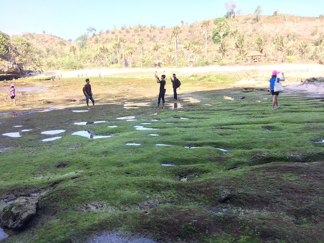 Ini Lho Pantai di Malang yang Cocok Buat camping