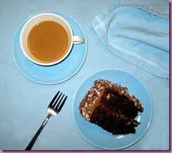 piece of coconut choc cake
