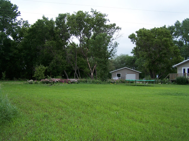 Lawn and flower bed