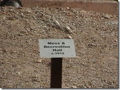 IMGA0502