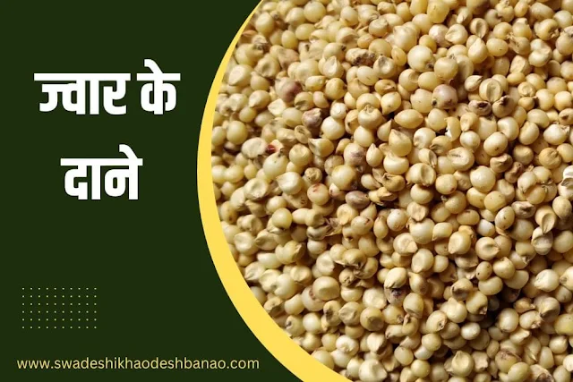 Jowar seeds in Hindi