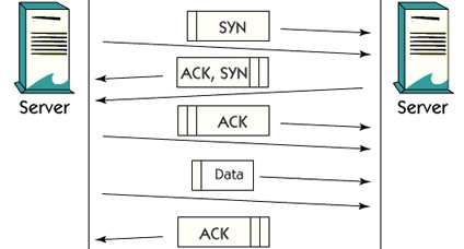 What is TCP/IP numbering ?