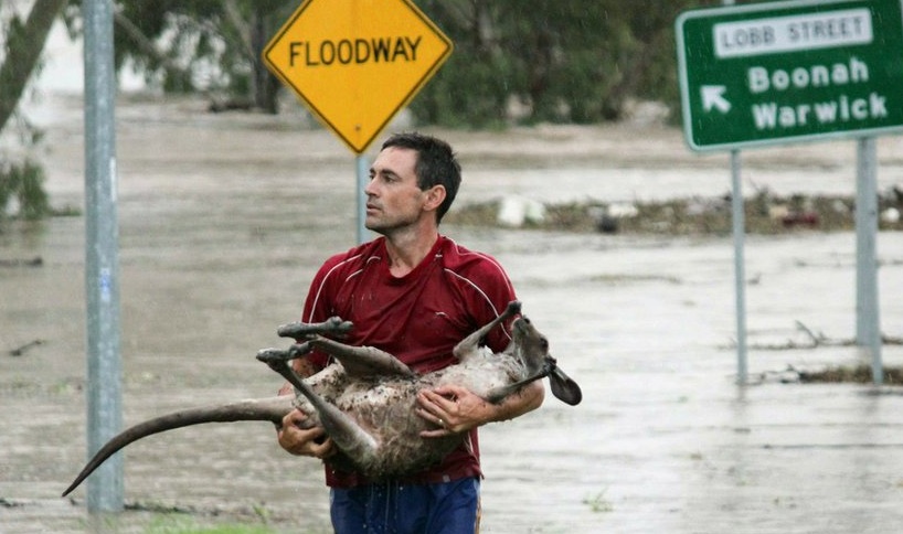 of QLD Floods: January 12, Pictures Of Qld Floods. of QLD Floods: January 12,