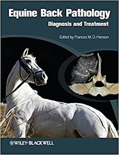 Equine Back Pathology  Diagnosis and Treatment